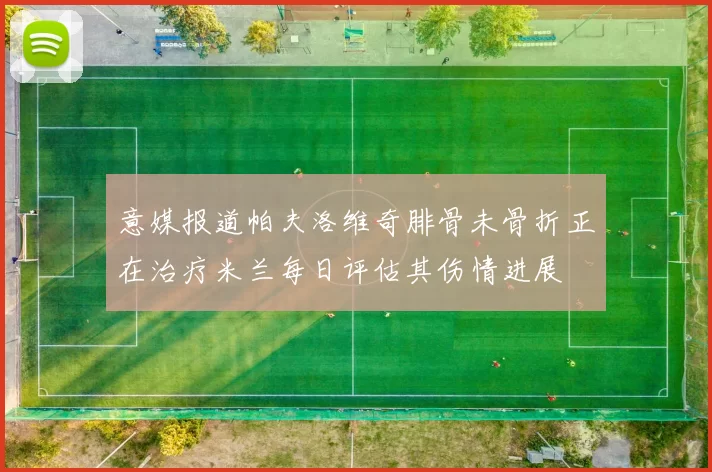 意媒报道帕夫洛维奇腓骨未骨折正在治疗米兰每日评估其伤情进展