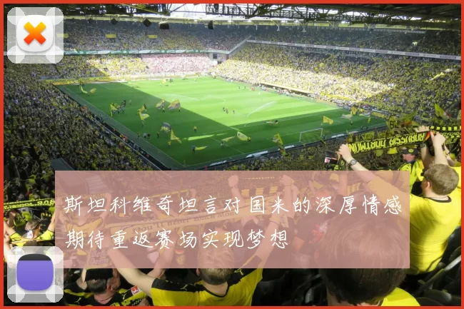 斯坦科维奇坦言对国米的深厚情感期待重返赛场实现梦想